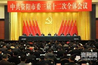 四川资阳爆料新闻最新,最新爆料揭示惊人真相，事件进展追踪