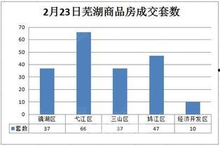 热点爆料芜湖最新消息,聚焦城市动态与热点事件