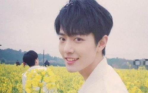 杨紫肖战的最新爆料