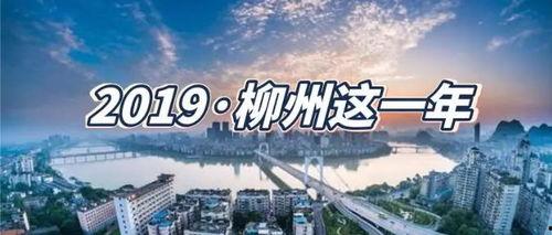 柳州爆料热点事件最新情况,事件进展及各方反应汇总